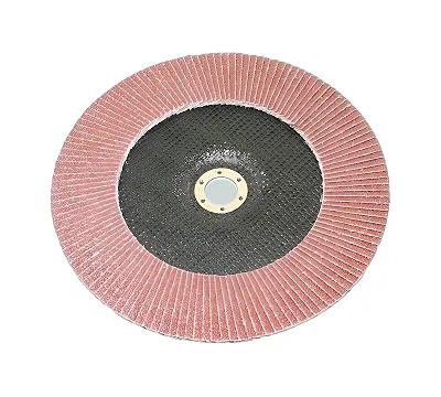 Круг КЛТ1 230х22,2 14А Р 40 (№40) (SA28003) TLX