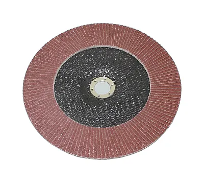 Круг КЛТ1 230х22,2 14А Р 80 (№20) (SA28003) TLX