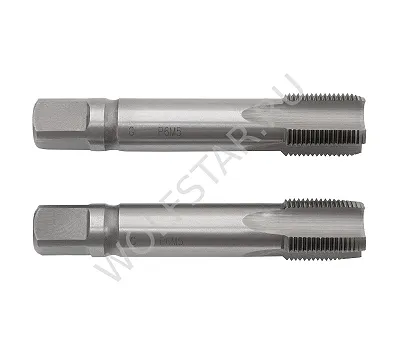 Метчик трубный м/р G1 Р6М5(4341) ГОСТ 3266 к-т 2 шт. с прох. хв. ZENION