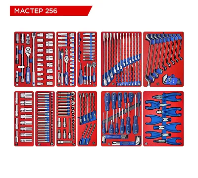 Набор инструментов 256 предметов, "МАСТЕР 256", для тележки, 11 ложементов МАСТАК 5-00256