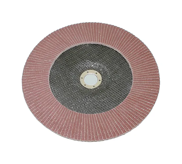 Круг КЛТ1 230х22,2 14А Р 60 (№25) (SA28003) TLX