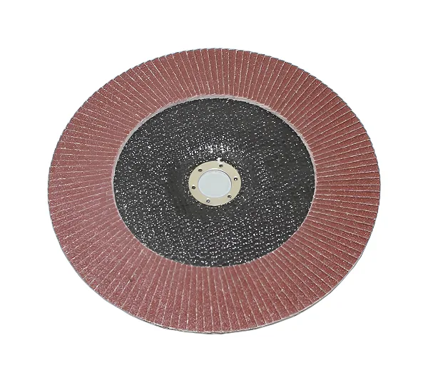 Круг КЛТ1 230х22,2 14А Р 80 (№20) (SA28003) TLX