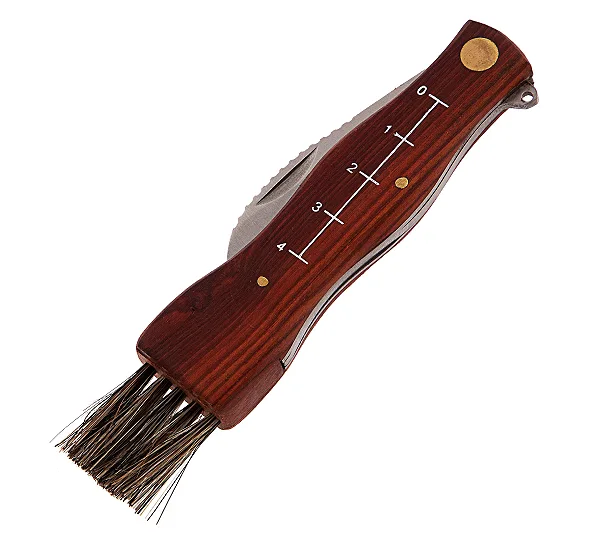 PALISAD