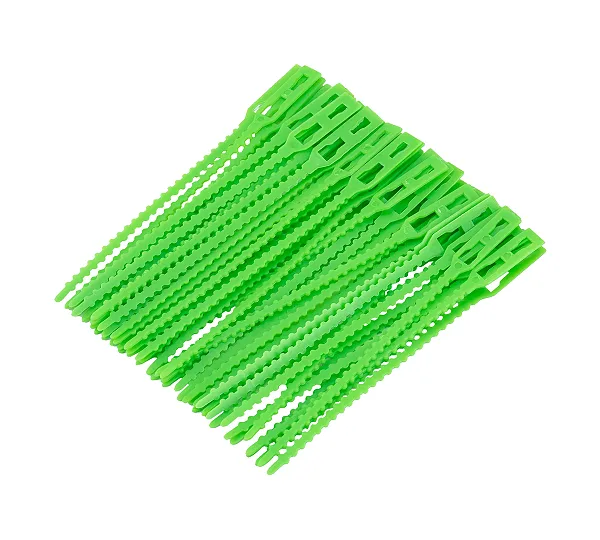 PALISAD