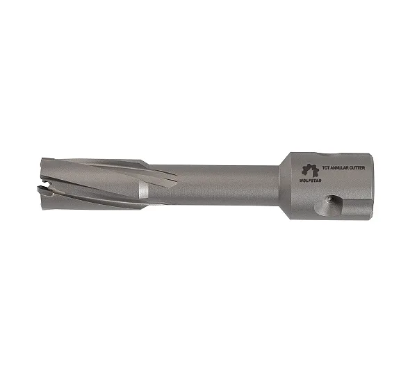 Сверло корончатое по металлу 12х55мм ТСТ хв.Weldon 19mm WOLFSTAR