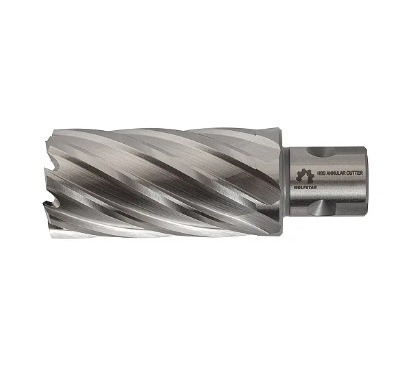 Сверло корончатое по металлу 22х55мм Р6М5/М2 хв.Weldon 19mm WOLFSTAR